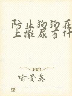 防止狗狗在轮胎上撒尿有什么东西可以用