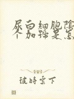 尿白细胞阴性一个加号是怎么回事