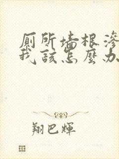 厕所墙根渗水,我该怎么办?