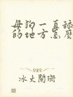 母狗一直舔小便的地方怎么办呢