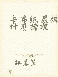 卡布纸尿裤属于什么档次