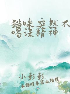 猫咪突然不吃不喝没精神