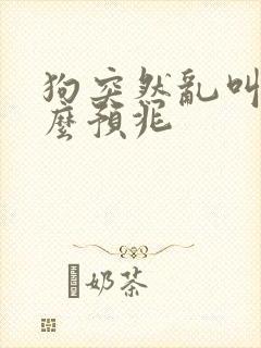 狗突然乱叫是什么预兆