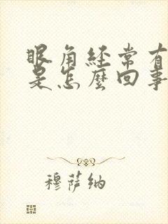 眼角经常有眼屎是怎么回事