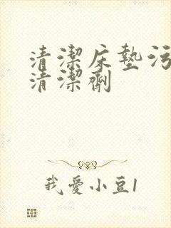 清洁床垫污垢的清洁剂