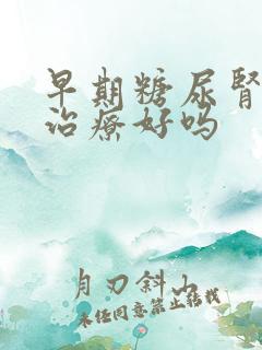 早期糖尿肾病能治疗好吗