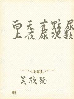 白天有点尿频晚上夜尿次数多