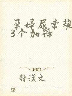 孕妇尿常规酮体3个加号