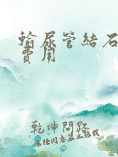 输尿管结石软镜费用