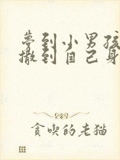 梦到小男孩撒尿撒到自己身上