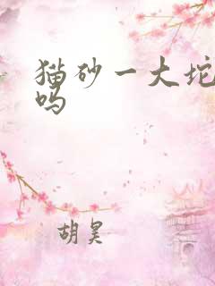 猫砂一大坨是尿吗