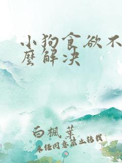 小狗食欲不振怎么解决