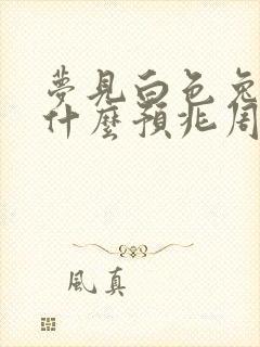 梦见白色兔子是什么预兆周公解梦