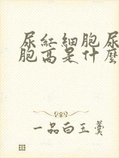 尿红细胞尿白细胞高是什么病,严重吗