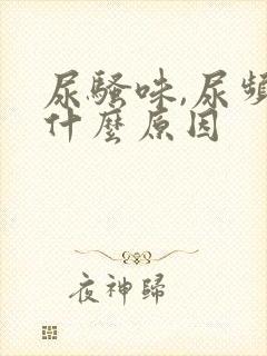 尿骚味,尿频是什么原因