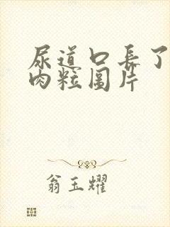 尿道口长了个小肉粒图片