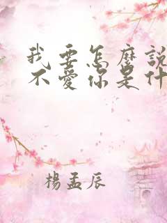 我要怎么说才能不爱你是什么歌