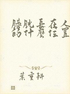 膀胱长在人体上的什么位置