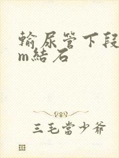 输尿管下段8mm结石