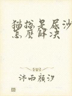 猫总是尿沙发上怎么解决