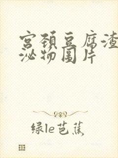 宫颈豆腐渣样分泌物图片