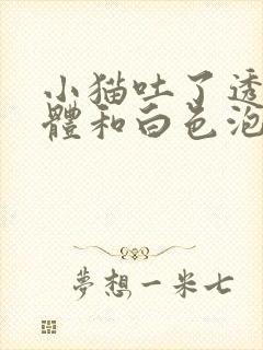 小猫吐了透明液体和白色泡沫