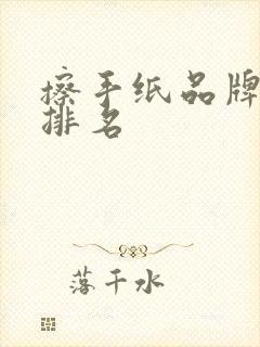 擦手纸品牌十大排名