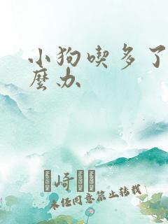 小狗吃多了吐怎么办