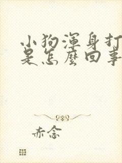 小狗浑身打哆嗦是怎么回事