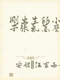 刚出生的小狗肚子胀气怎么办