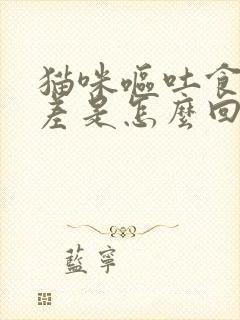 猫咪呕吐食欲很差是怎么回事?