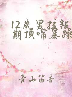 12岁男孩叛逆期顶嘴暴躁发脾气