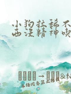 小狗拉稀不吃东西没精神吃什么药