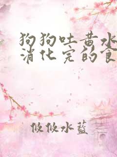 狗狗吐黄水带没消化完的食物