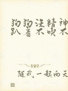 狗狗没精神一直趴着不吃不喝