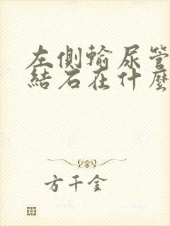 左侧输尿管下段结石在什么位置