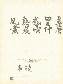 风热感冒鼻塞咳黄痰吃什么药