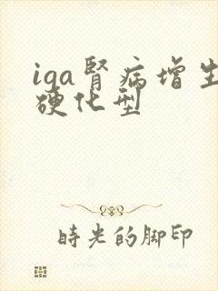 iga肾病增生硬化型