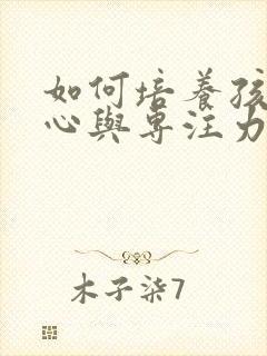 如何培养孩子耐心与专注力