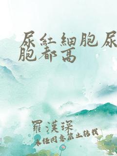 尿红细胞尿白细胞都高