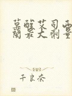 草酸艾司西酞普兰最大剂量