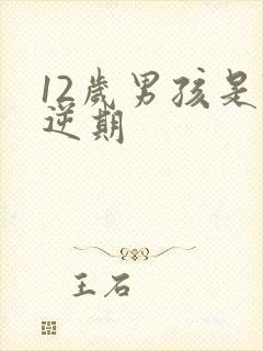 12岁男孩是叛逆期