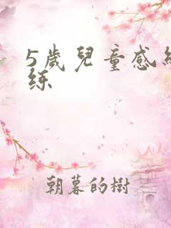 5岁儿童感统训练