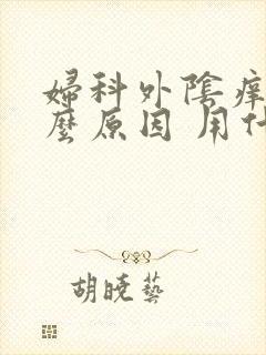 妇科外阴痒是什么原因 用什么药