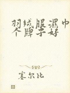 羽绒服湿巾纸哪个牌子好