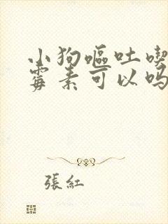 小狗呕吐吃庆大霉素可以吗