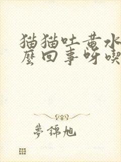 猫猫吐黄水是怎么回事呀吃什么药