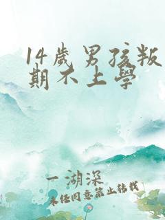 14岁男孩叛逆期不上学