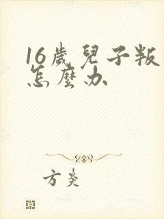 16岁儿子叛逆怎么办