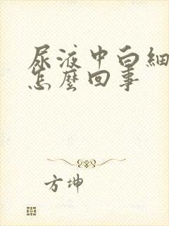 尿液中白细胞高怎么回事